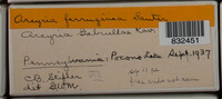 Image Associated With the Occurence